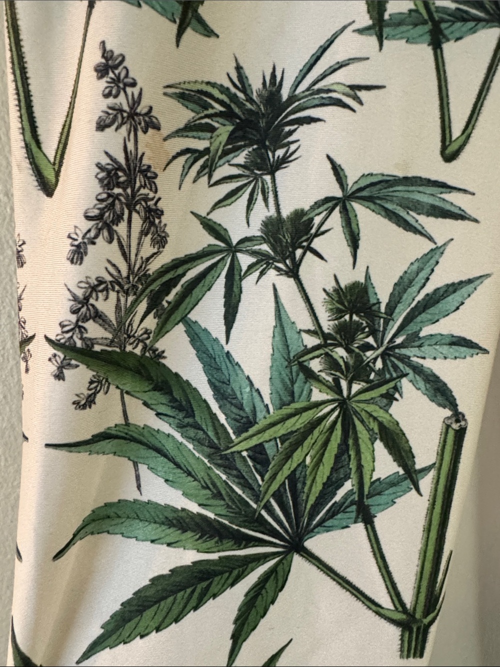 Women’s Cannabis Flower Leggings - Picture 2 of 5